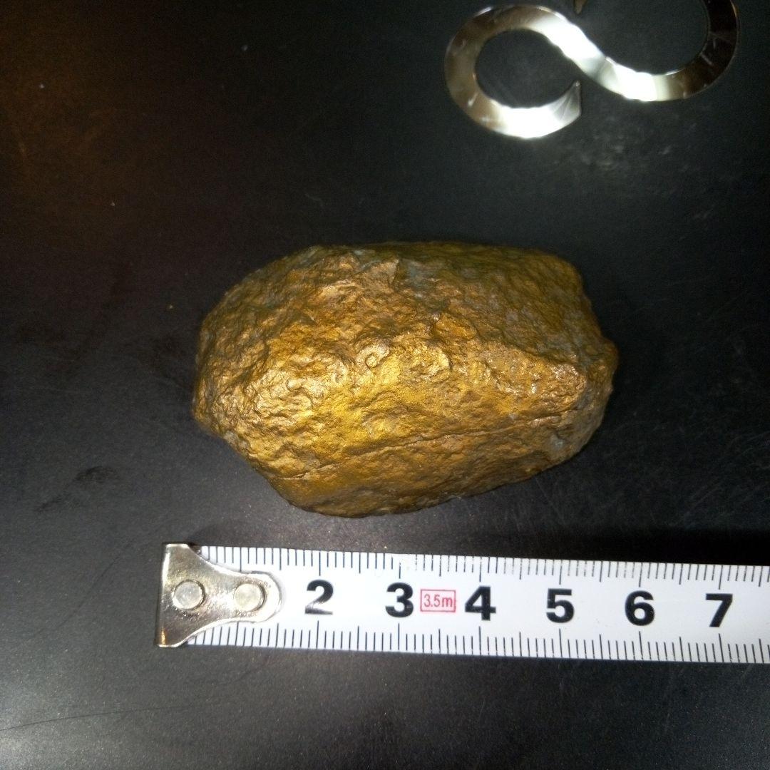 三葉虫　化石　fossil　ボリビア産　レア　Fossil管理③