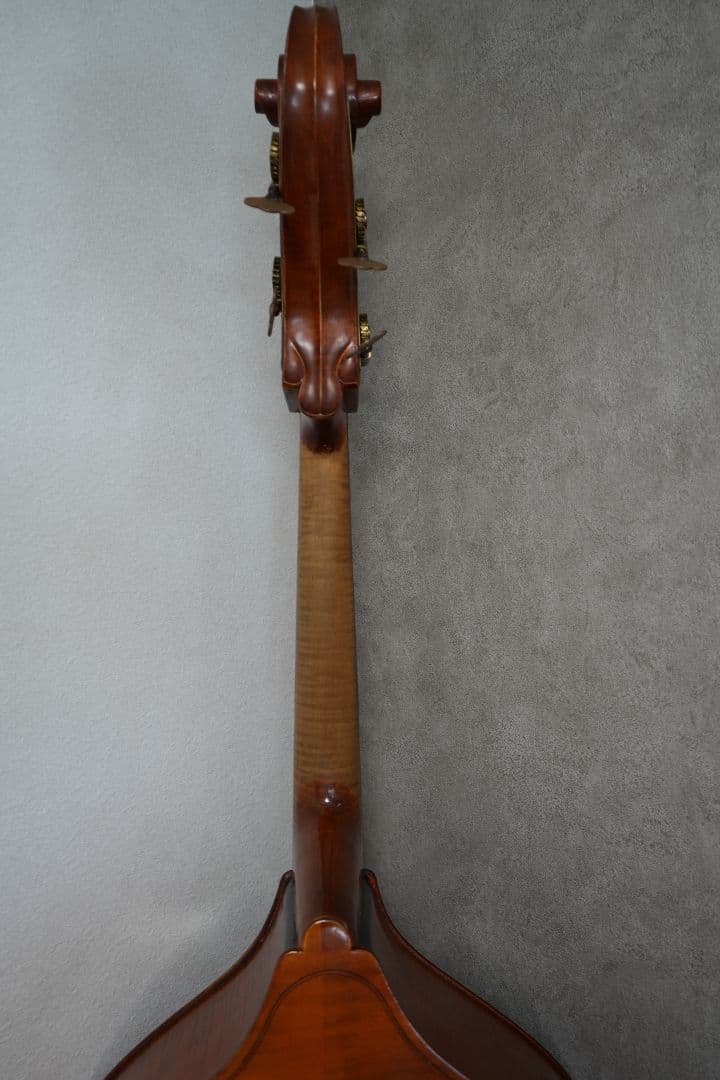 オール単板 GLIGA Gems Ⅰ Gamba Shape Flat Back