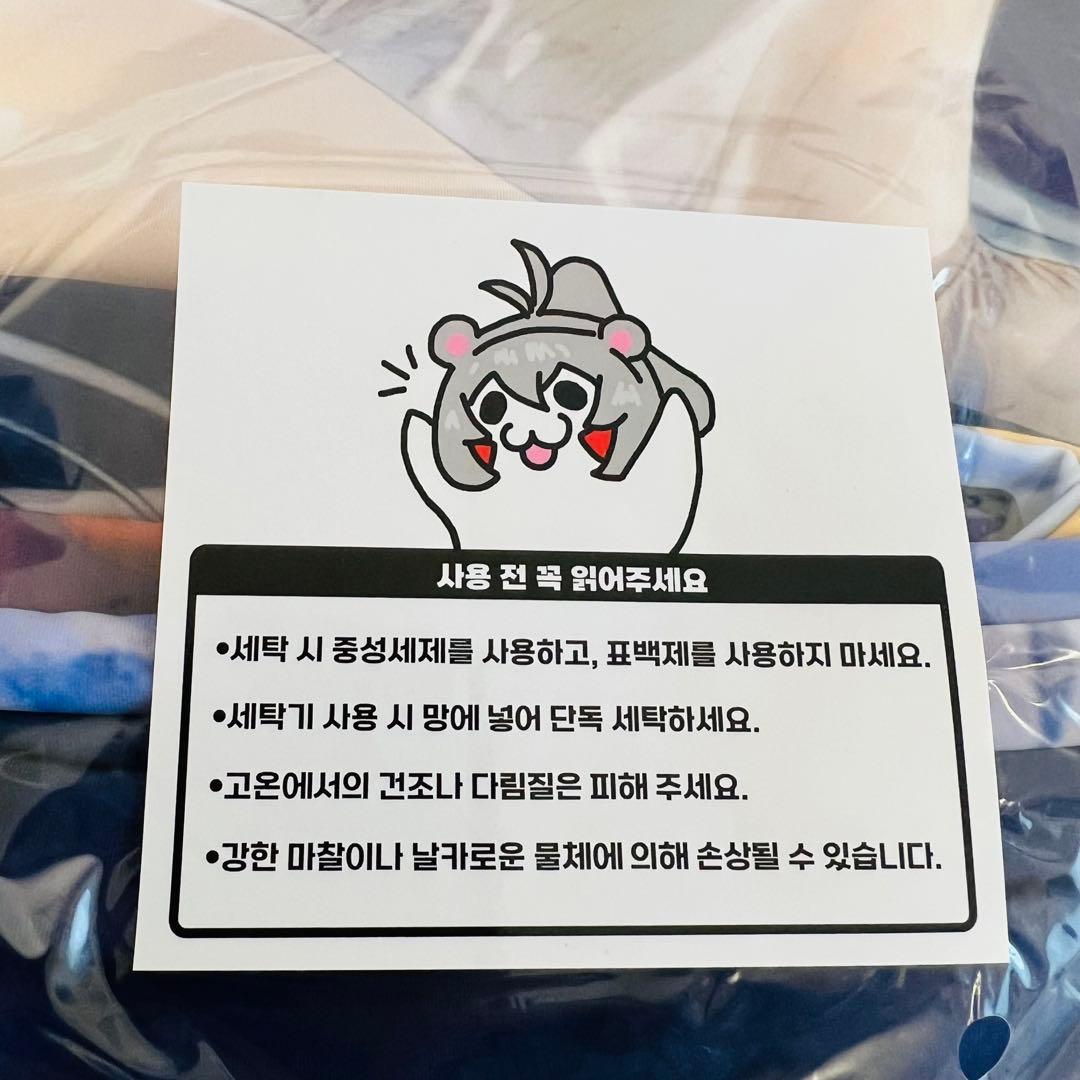 韓国 公式 新品未開封 抱き枕カバー ハロウィン サプライズゴースト