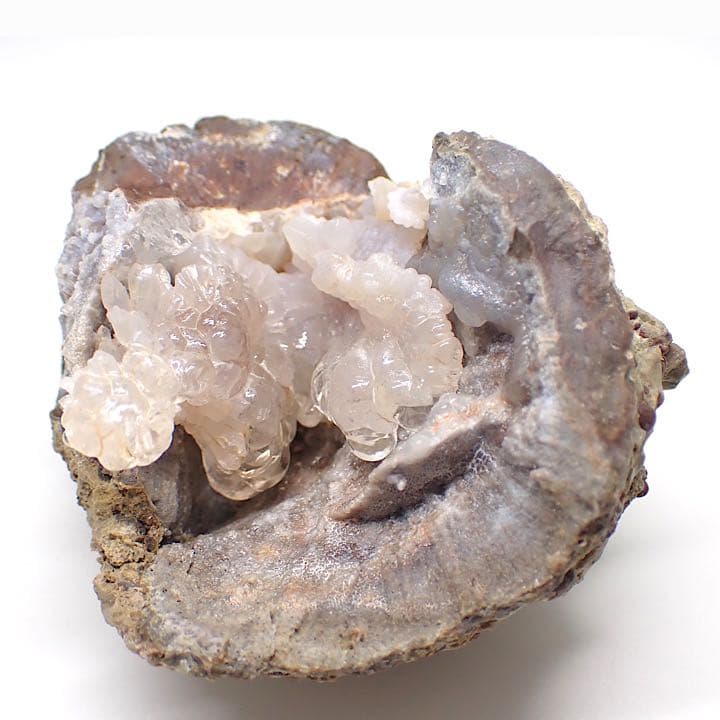 【メキシコ/サンフェリップ産】ハイアライトオパール原石