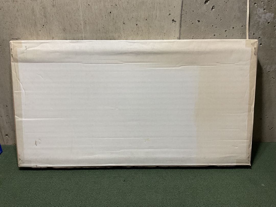 廃盤色・新品・未開封品 エントリー IGT スノーピーク  peak