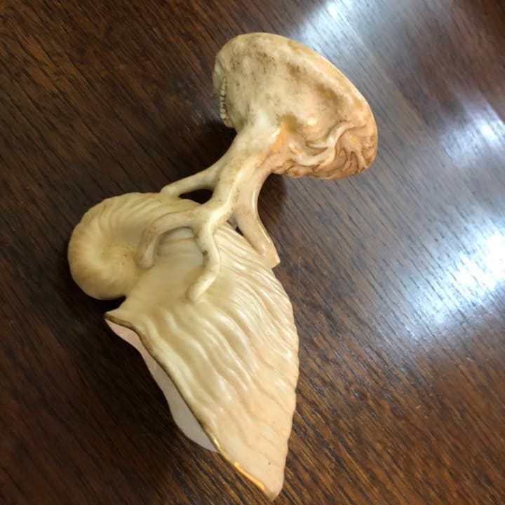 ロイヤルウースター 英国アンティーク ブラッシュアイボリー 花瓶 花器 金彩