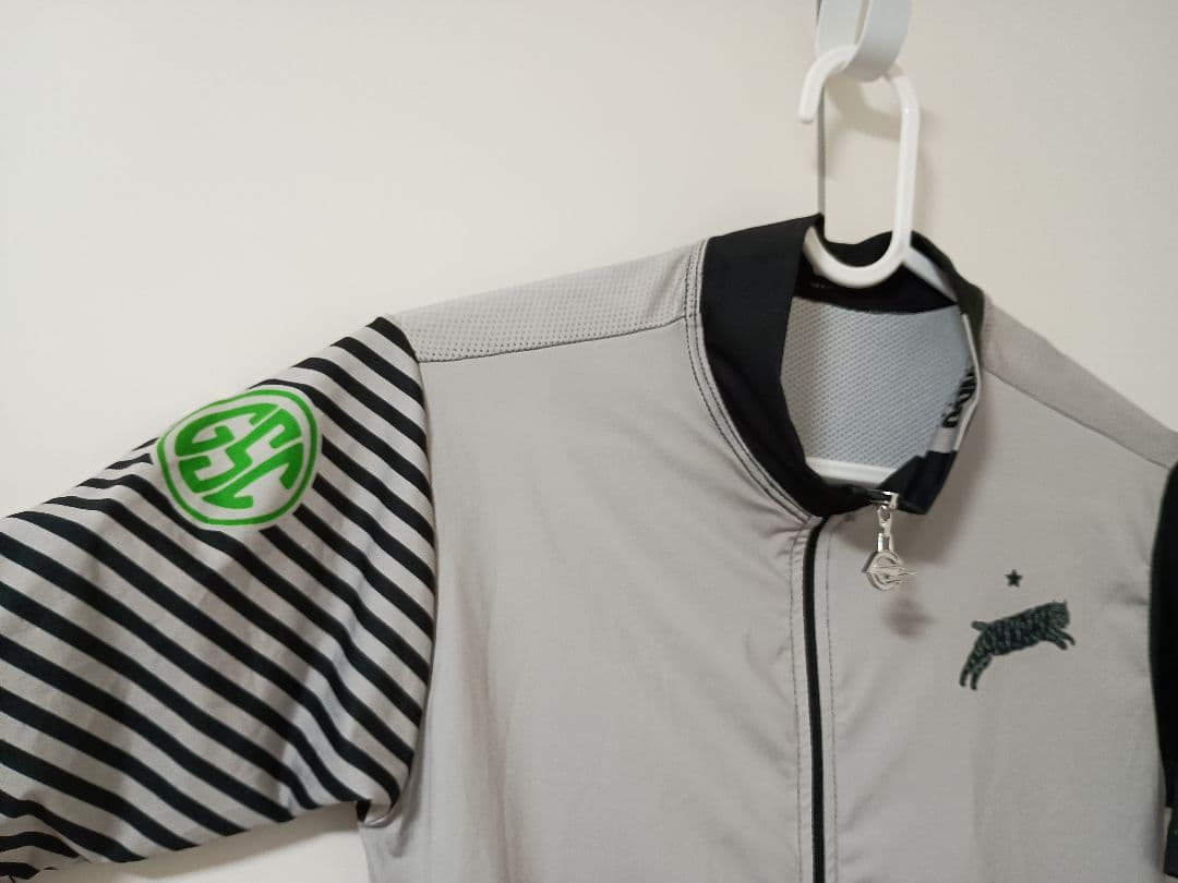 TEAM DREAM BICYCLING TEAM サイクルジャージ