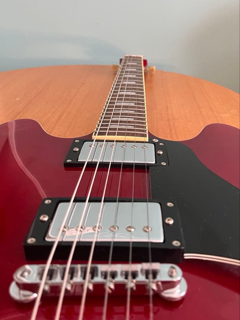 Burny バーニー RSA70ブランコテールピース　セミアコ　ハードケース付