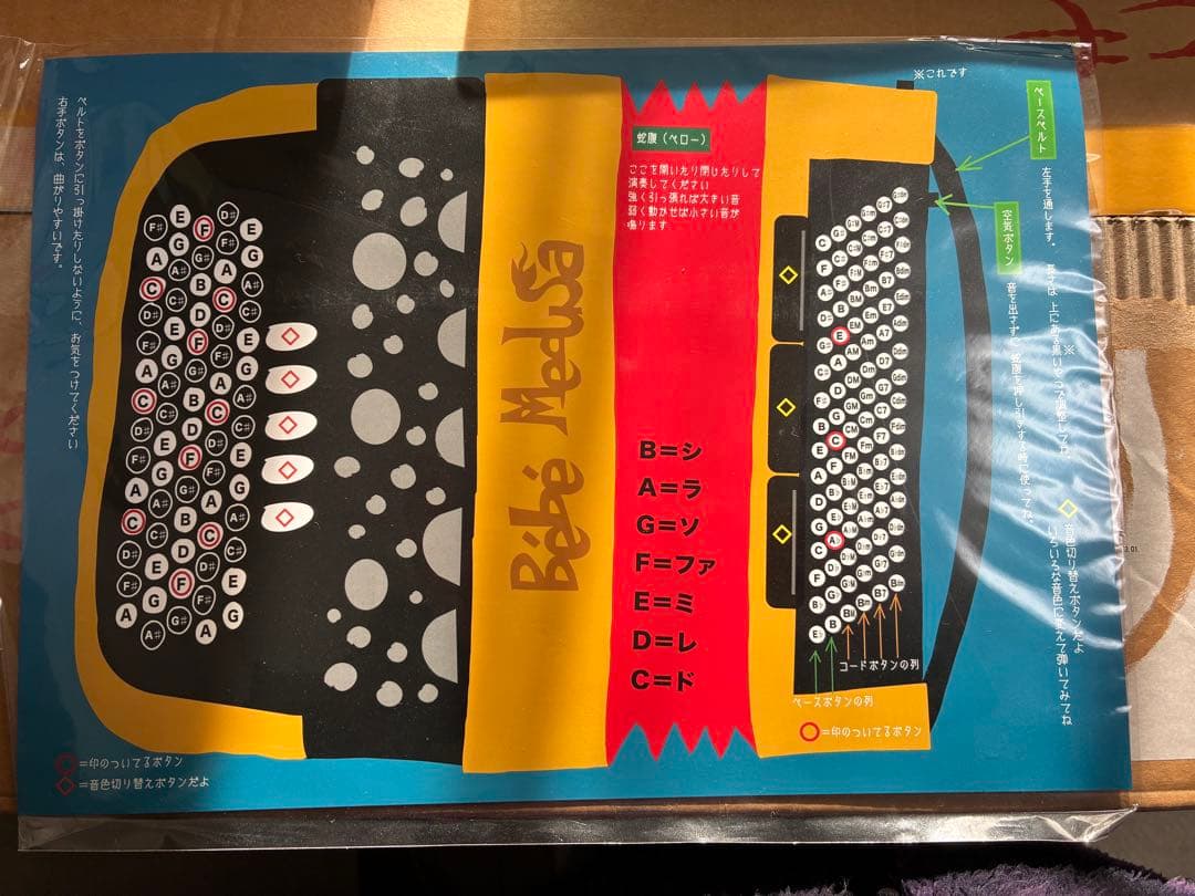 【即決優先】Bébé Medusa 中型　ゴールド