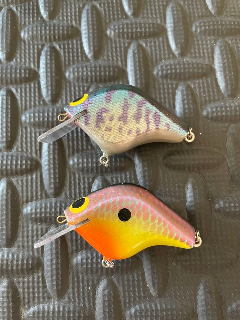 キャッチングコンセプト　ラトリンスーパービー