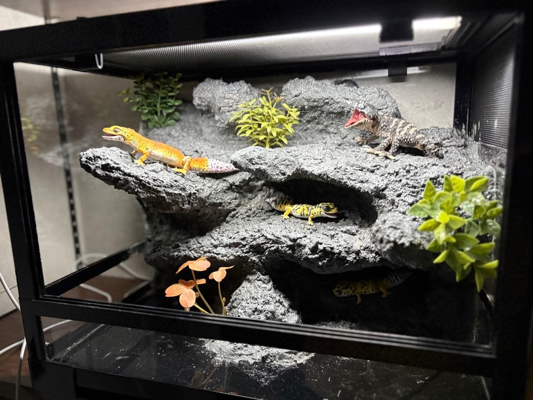 爬虫類ケージ　爬虫類フルレイアウトケージ　パンテオン4535