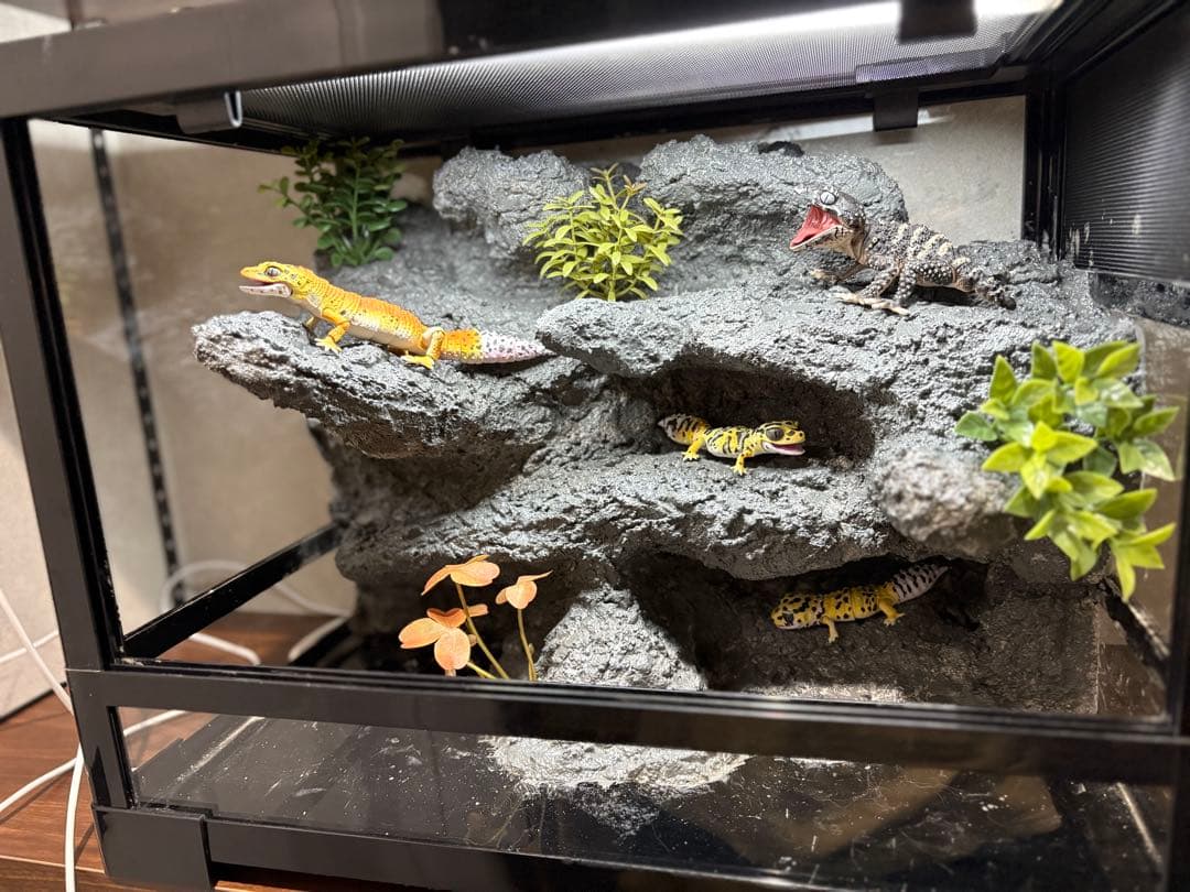 爬虫類ケージ　爬虫類フルレイアウトケージ　パンテオン4535