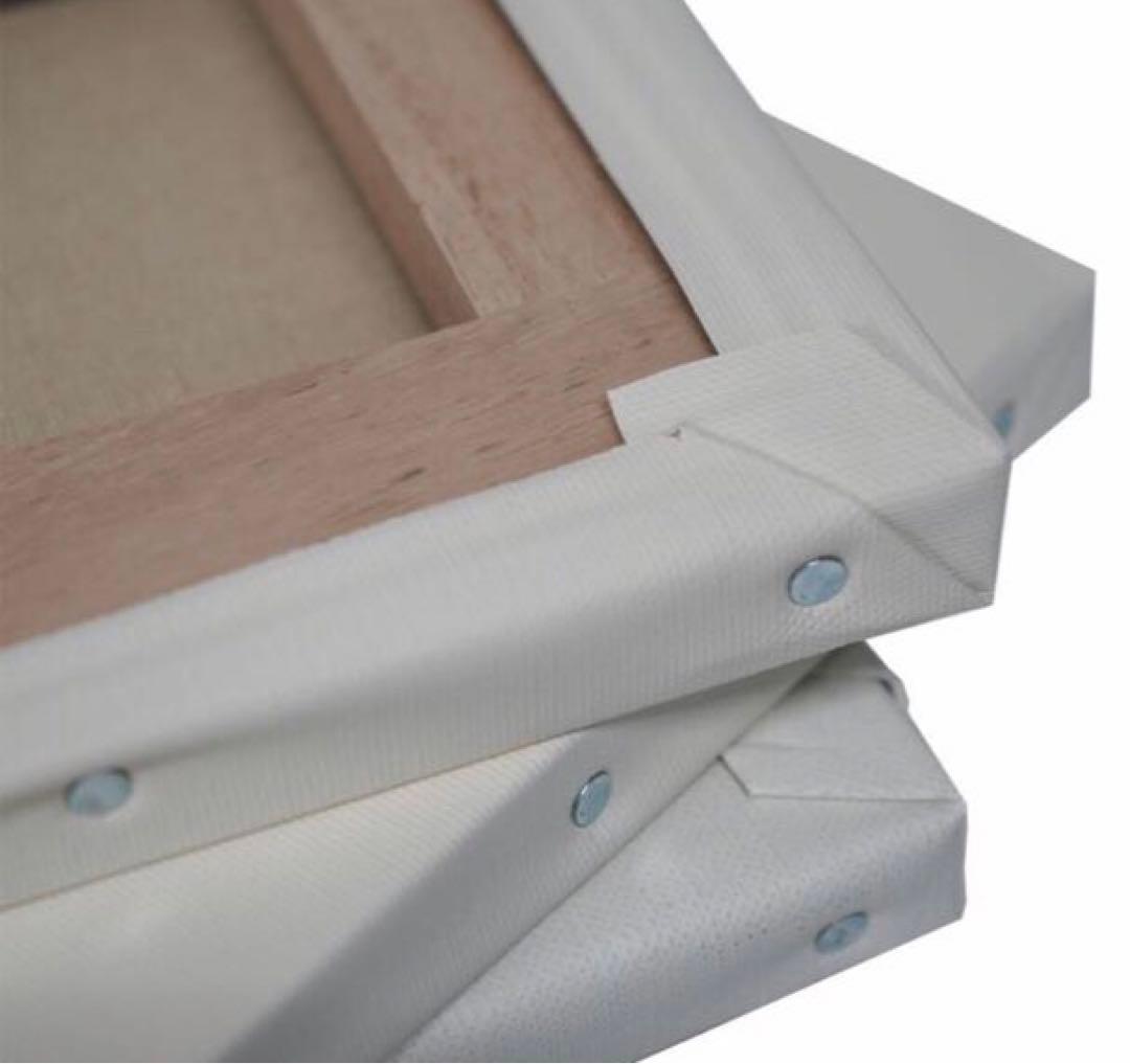 未使用、ゆめ画材 張りキャンバス F10号、11枚、麻100%