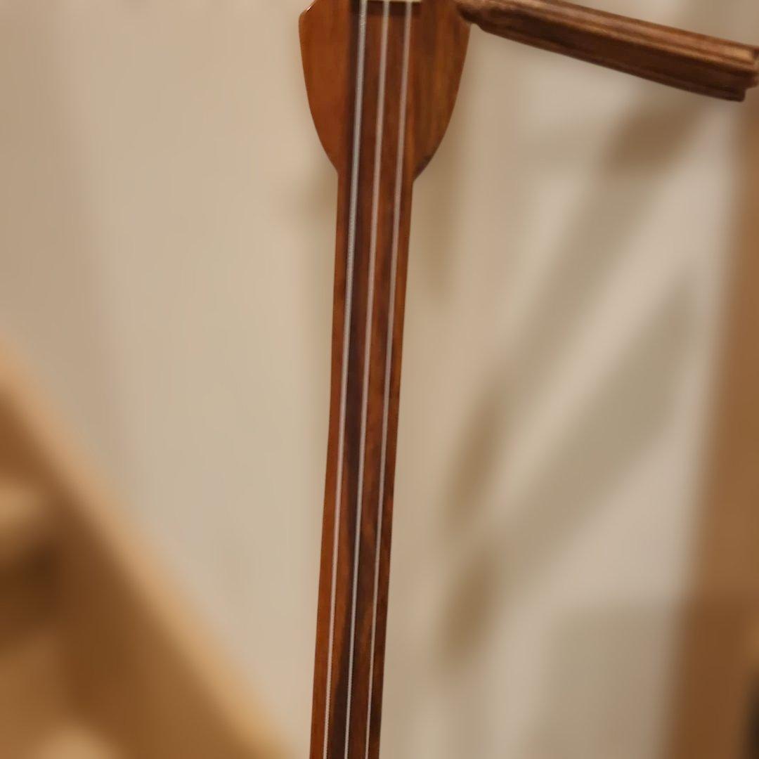 ✨希少✨沖縄三線 蛇柄 ヘビ柄 人工皮 工工四シール 頭カバー 爪付き 三味線