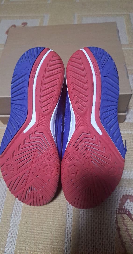 アシックス ゲルレゾリューション9 LIMITED 青×赤 ロンドン市街