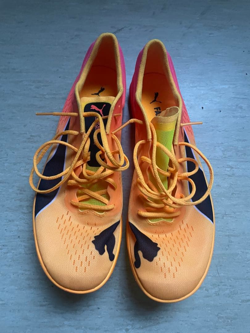 プーマ エヴォスピードロンディスタンス エリート 25.5cm