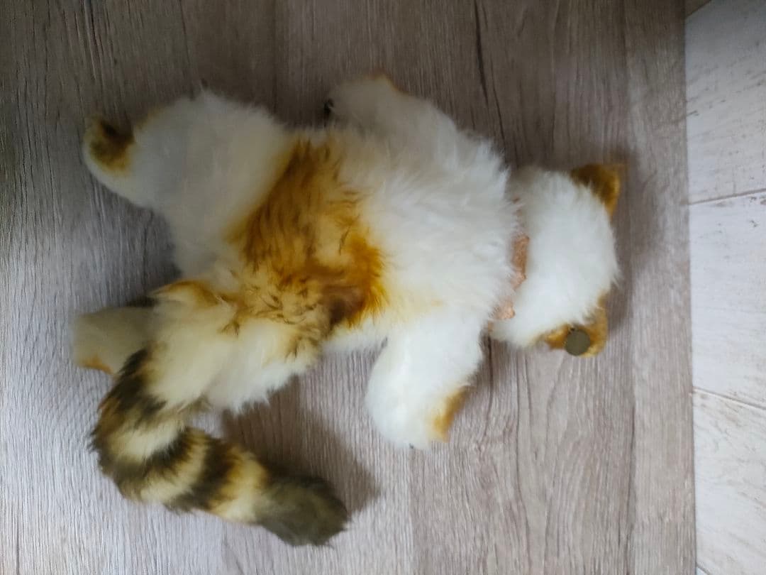 アーティストぬいぐるみ　作家ぬいぐるみ　 猫