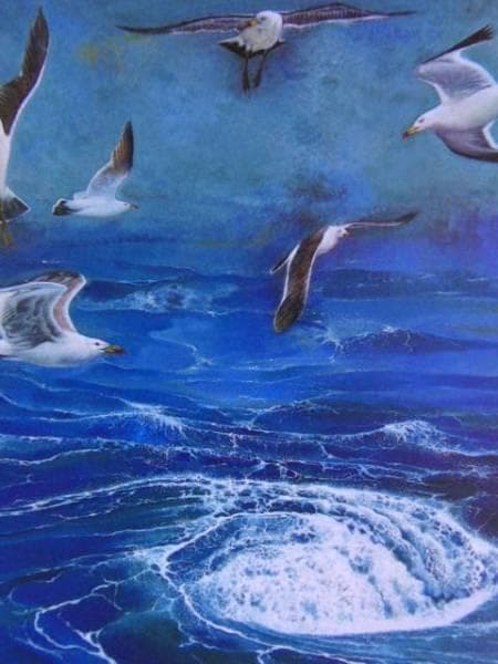 奥谷博、海鴎旋渦、希少画集画、新品額装付、状態良好