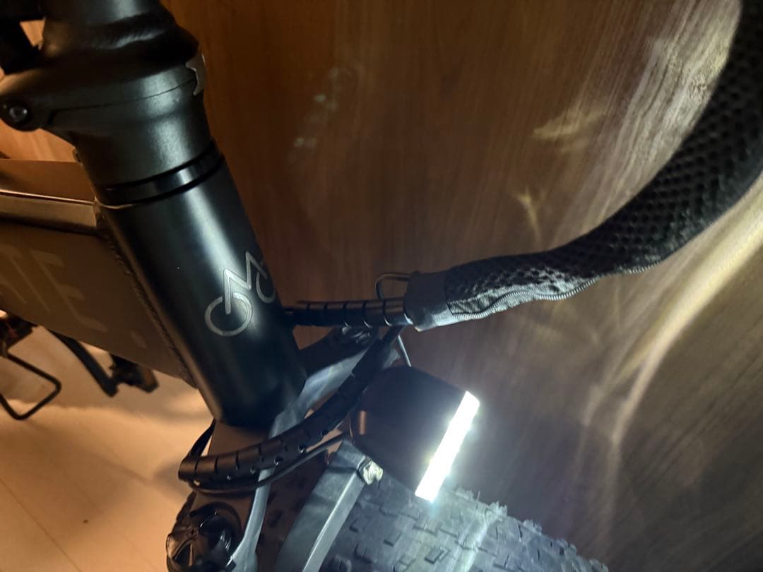 MATE BIKE X 250 メイト電動自転車メイトX 純正カスタム