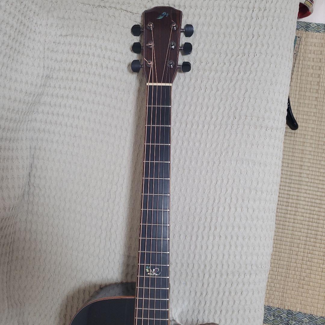 MORRIS S101-Black Eddition- ハードケース付