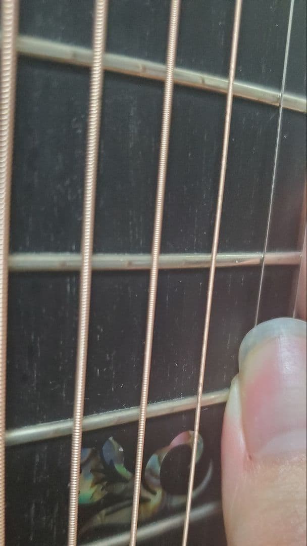 MORRIS S101-Black Eddition- ハードケース付