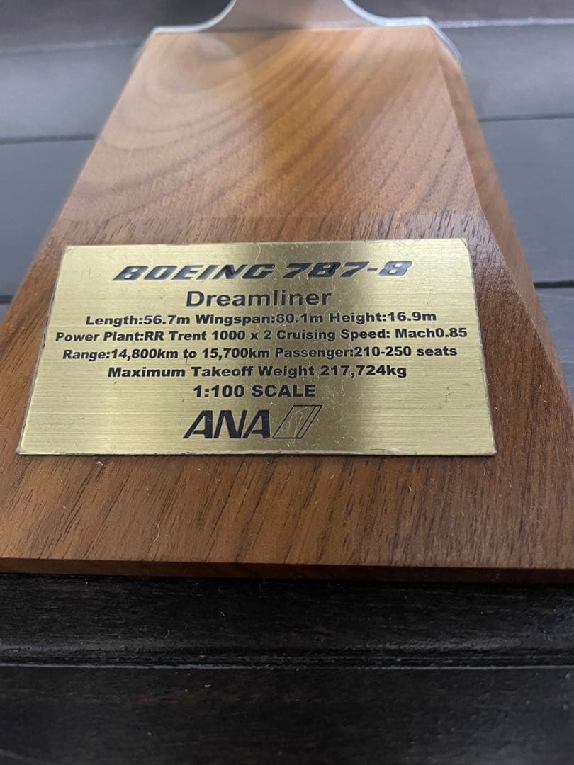 全日空商事 NH00124 1/100 787-8 JA801A 特別塗装