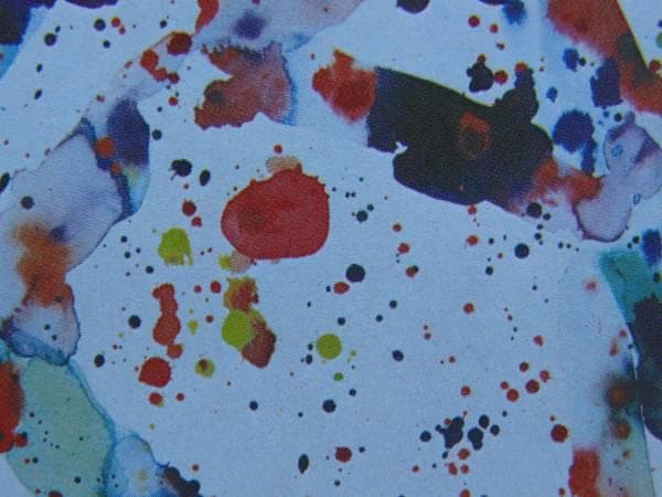 Sam Francis、Untitled 478、希少画集画、新品額装付