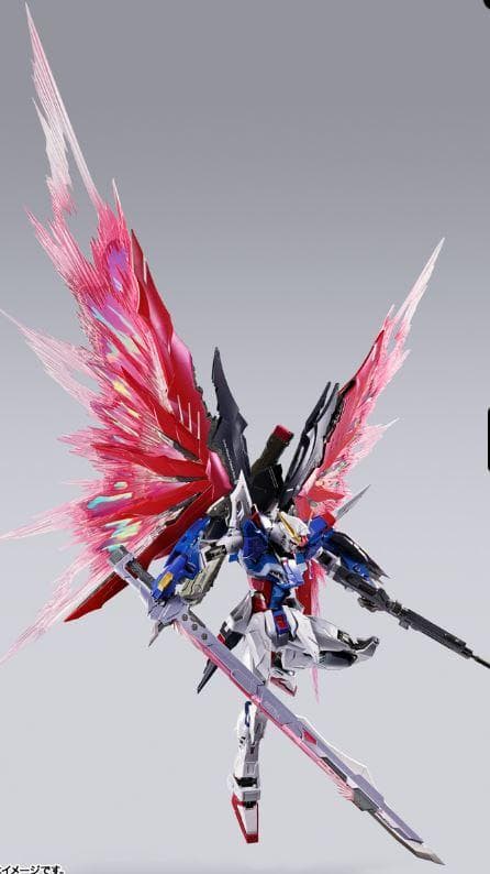 【新品】ストライクフリーダムガンダム&デスティニーガンダムL BUILD