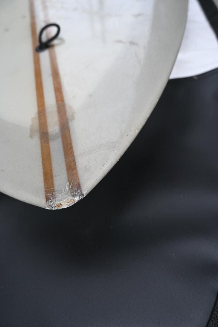 サーフィン・ボディボード Cream FAT CAT