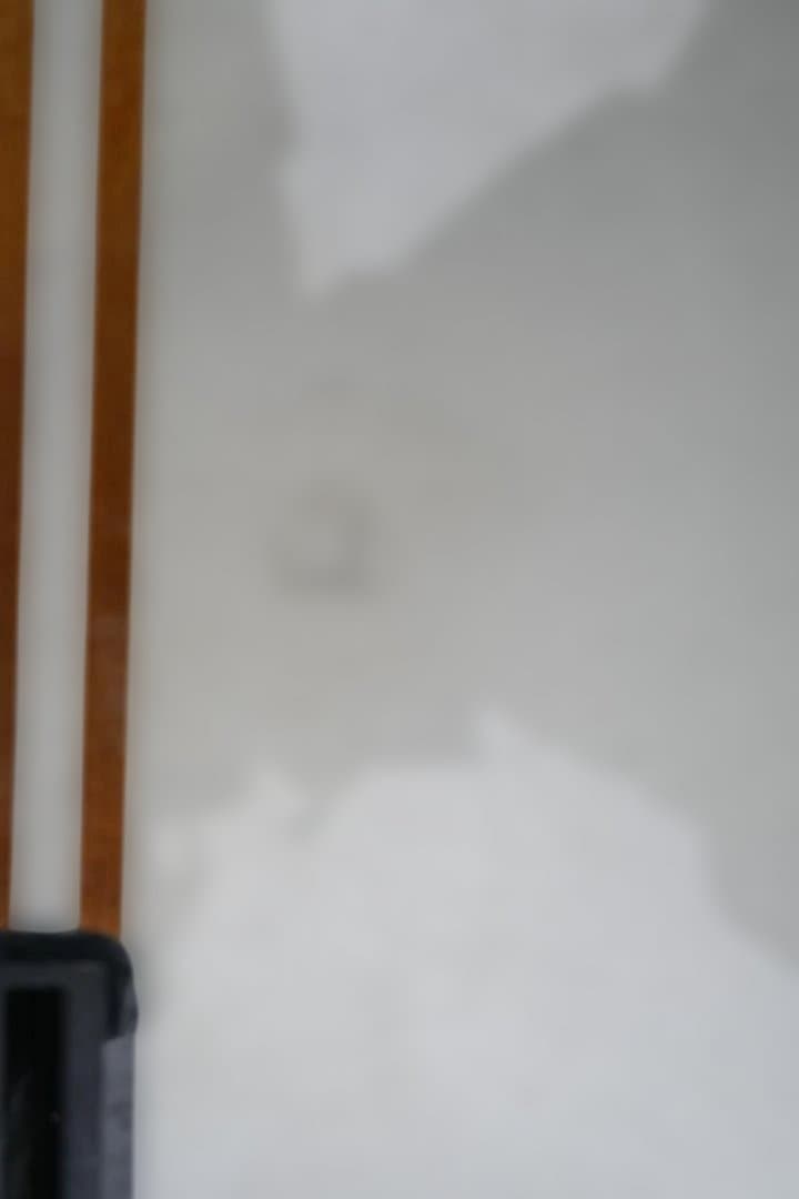 サーフィン・ボディボード Cream FAT CAT