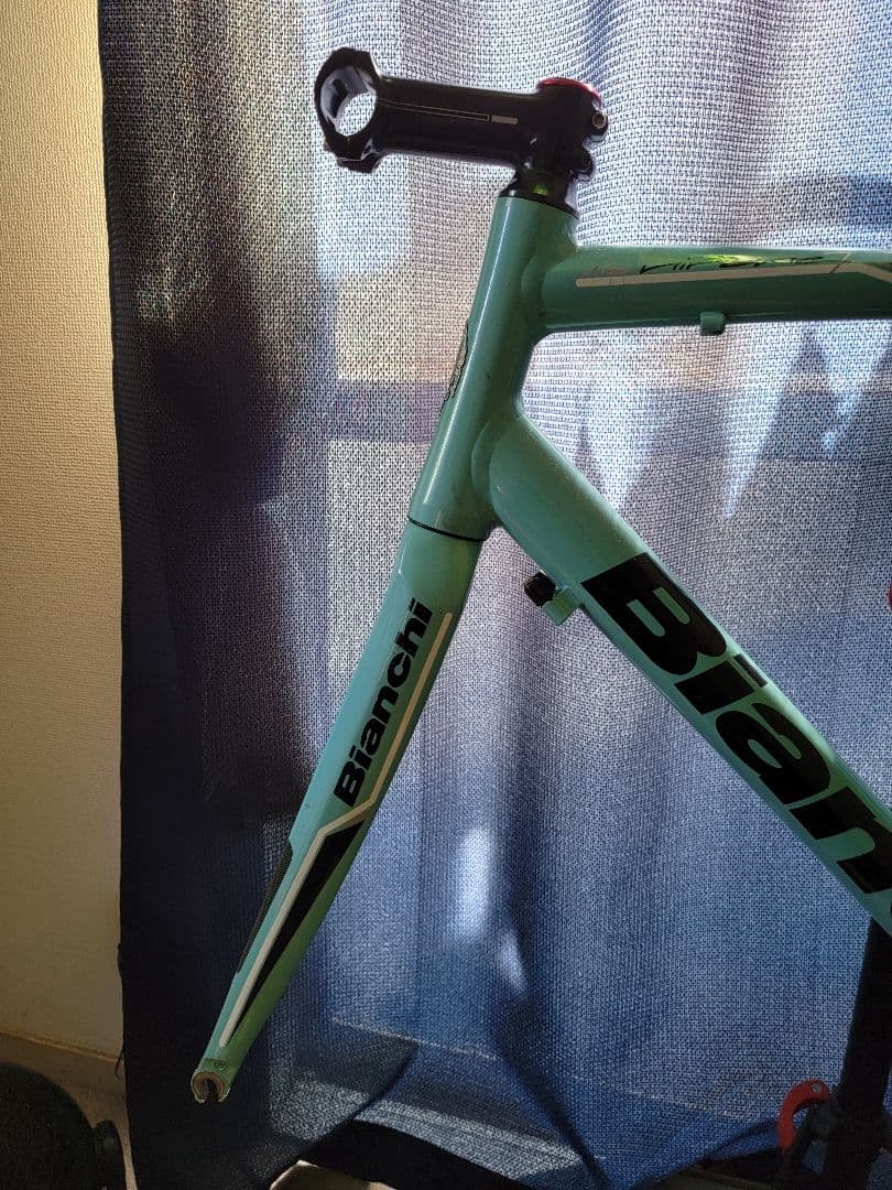 Bianchi ビアンキ ビアニローネ7 フレーム　57サイズ　※引き取り限定※