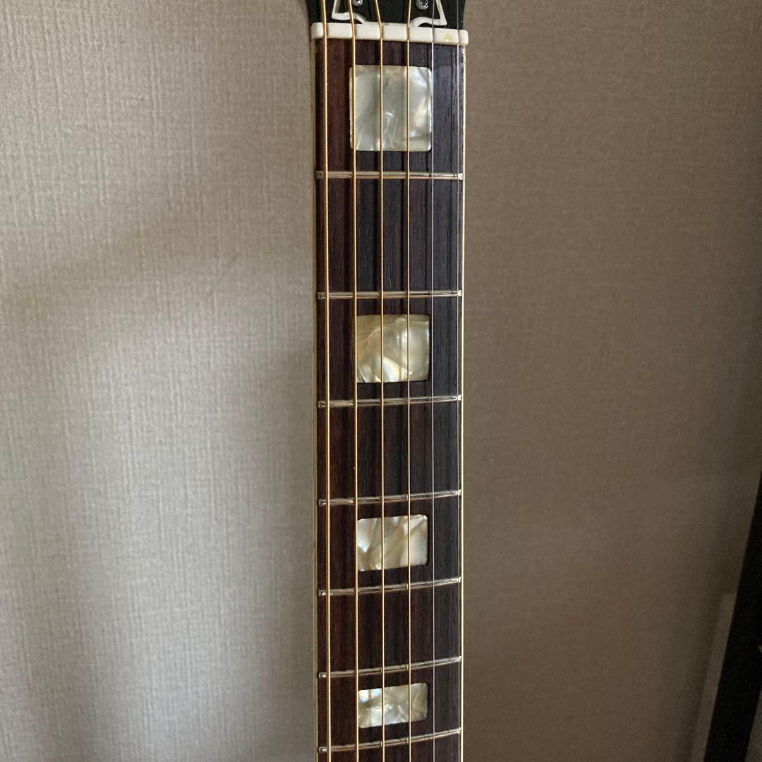 ま*ゆ様 【訳あり】Aria WH25N　ハミングバード　アリア　ソフトケース付