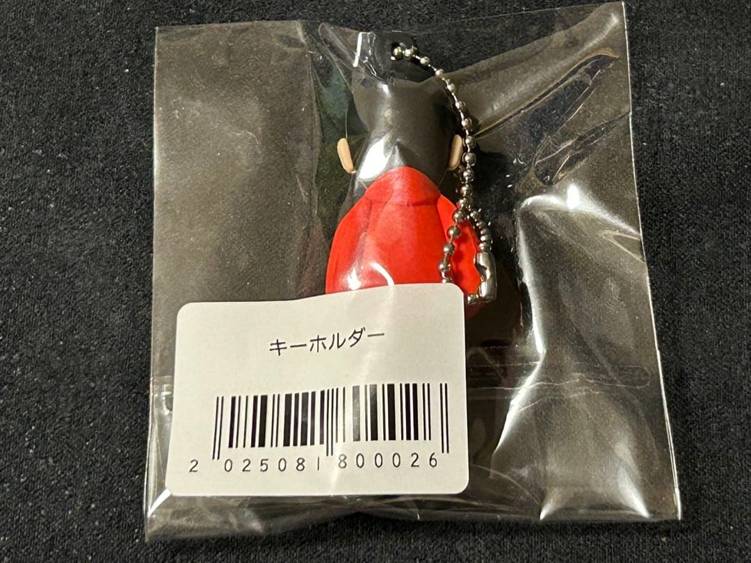 槇原敬之TREASUarenaTOUR キーホルダー