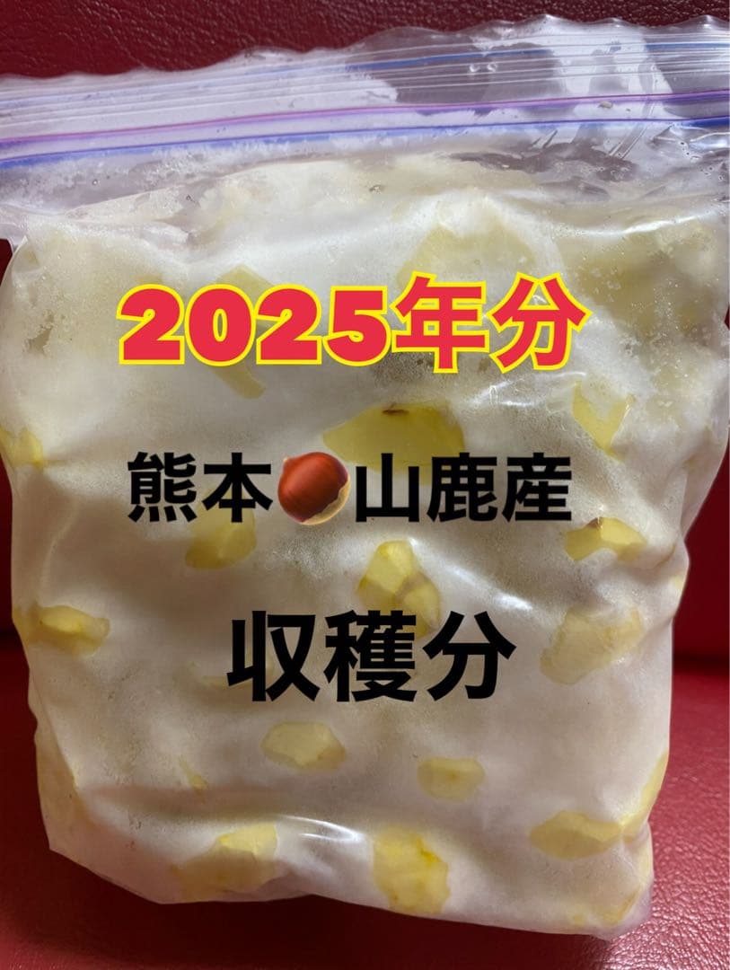 2025年収穫分　熊本産山鹿和栗　むき栗