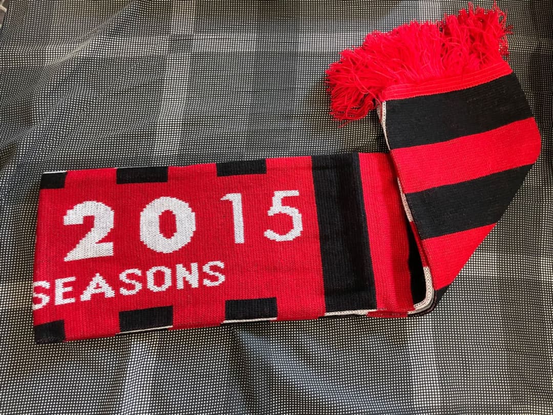 【非売品】NEW YORK RedBulls プレミアムマフラー