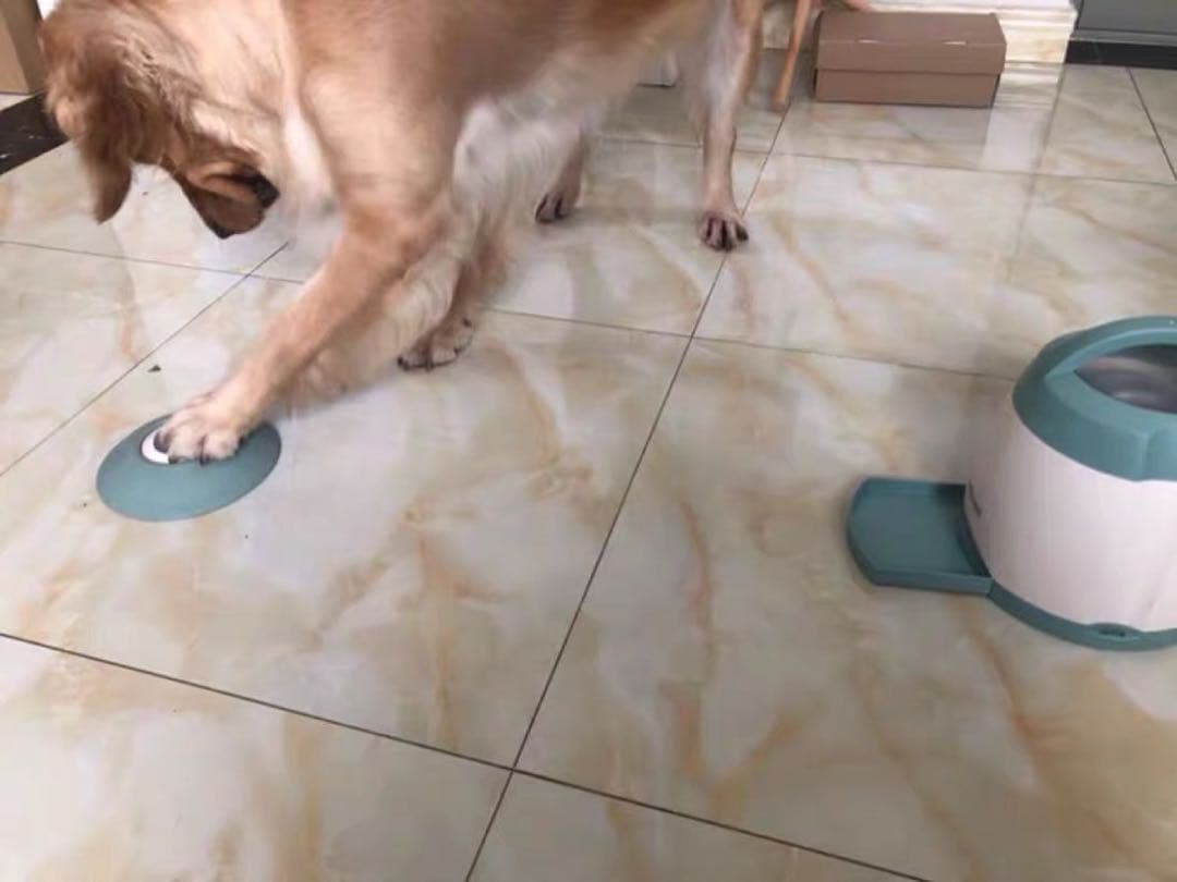 【最新知育玩具】PetDroid 智食堡自動給餌器 IQトレーニング 留守番対策