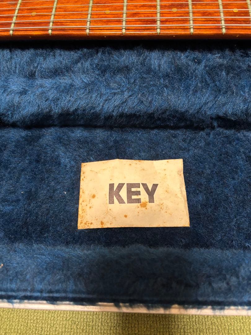 ジャンク品 リッケンバッカー 330