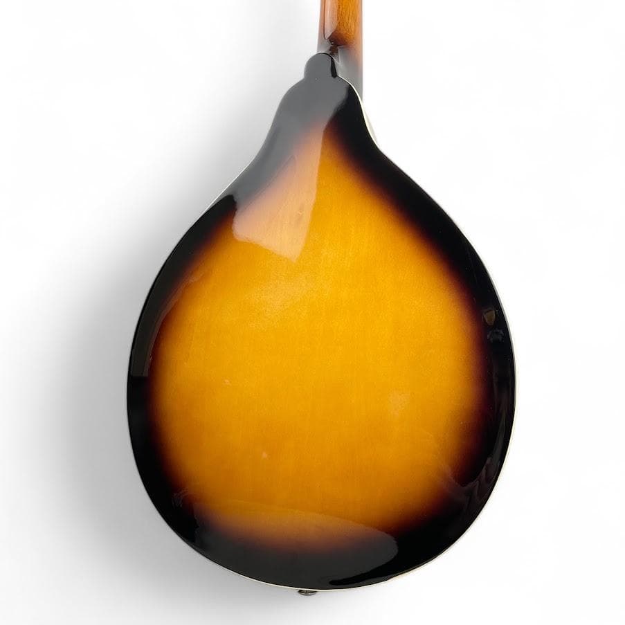 極美品●Donner● マンドリン DML-1 専用ケース付 サンバースト