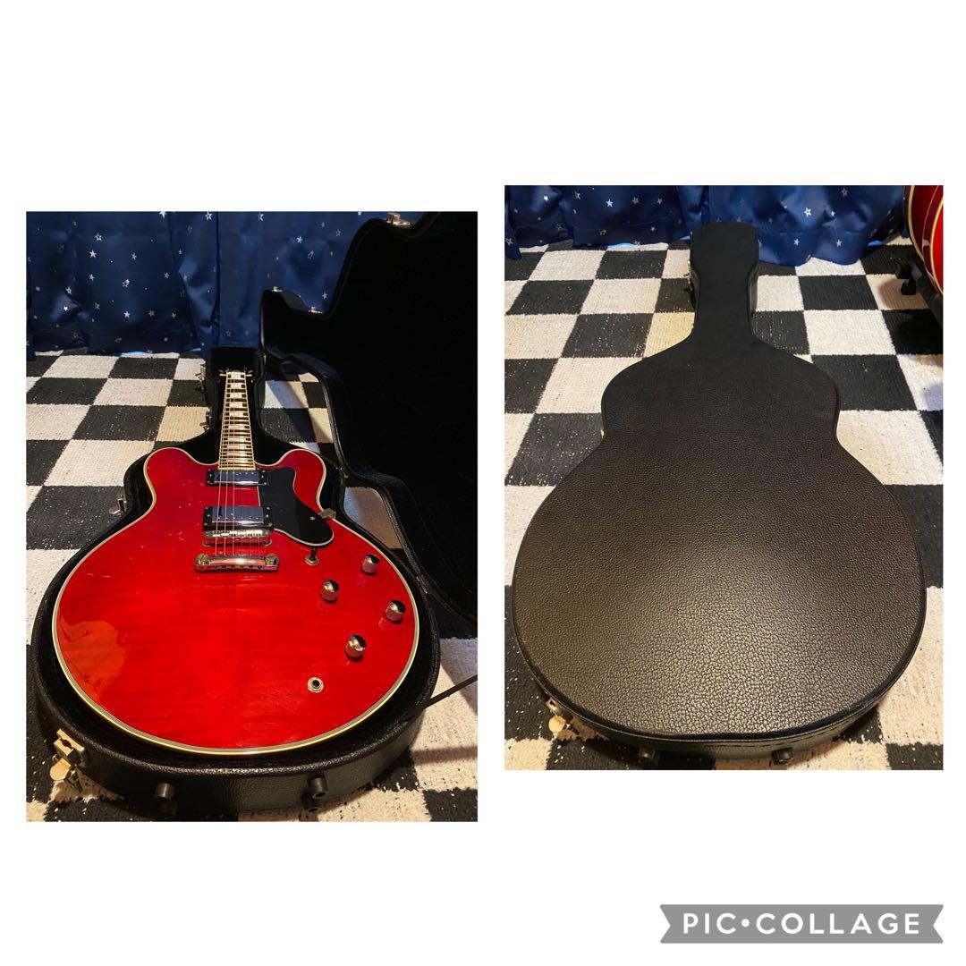 ギター Bacchus BSA800 (Duncan & PRS Pickups)