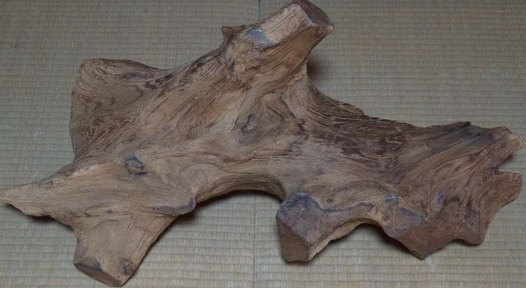 大型原木自然体水盤 花器 華道具 茶道具 茶室飾 床飾りオブジェ 最大幅83cm