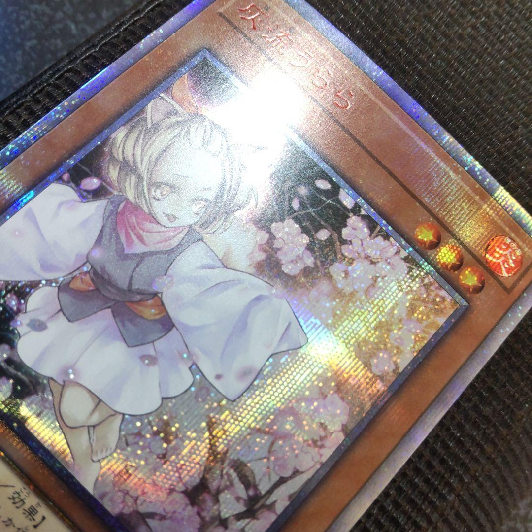 遊戯王　灰流うらら　20thシークレット