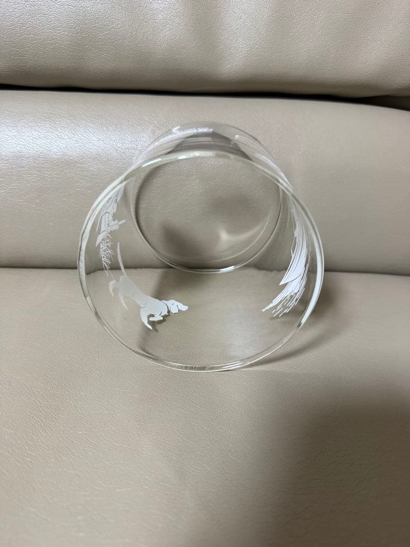 【レア未使用】COLEMAN スポーツマン288 グローブ ホヤ