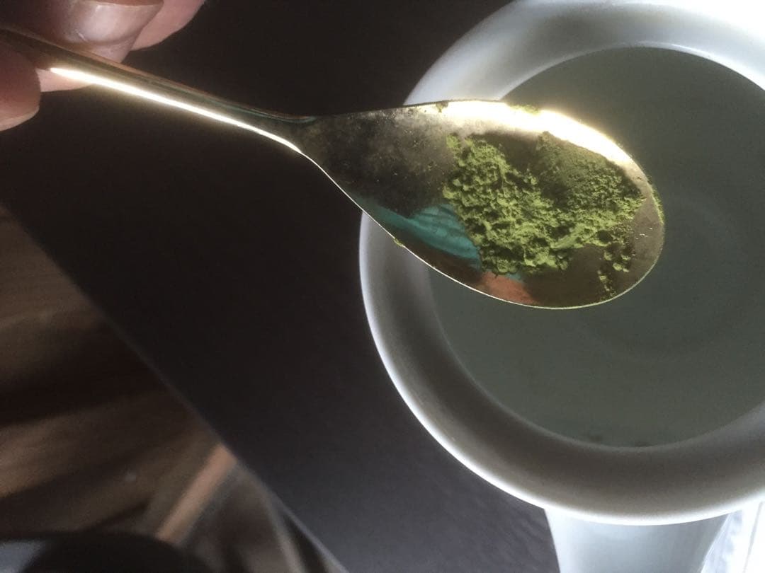 BTS 無農薬栽培の粉末緑茶　100g×10個 健康長寿の川根茶