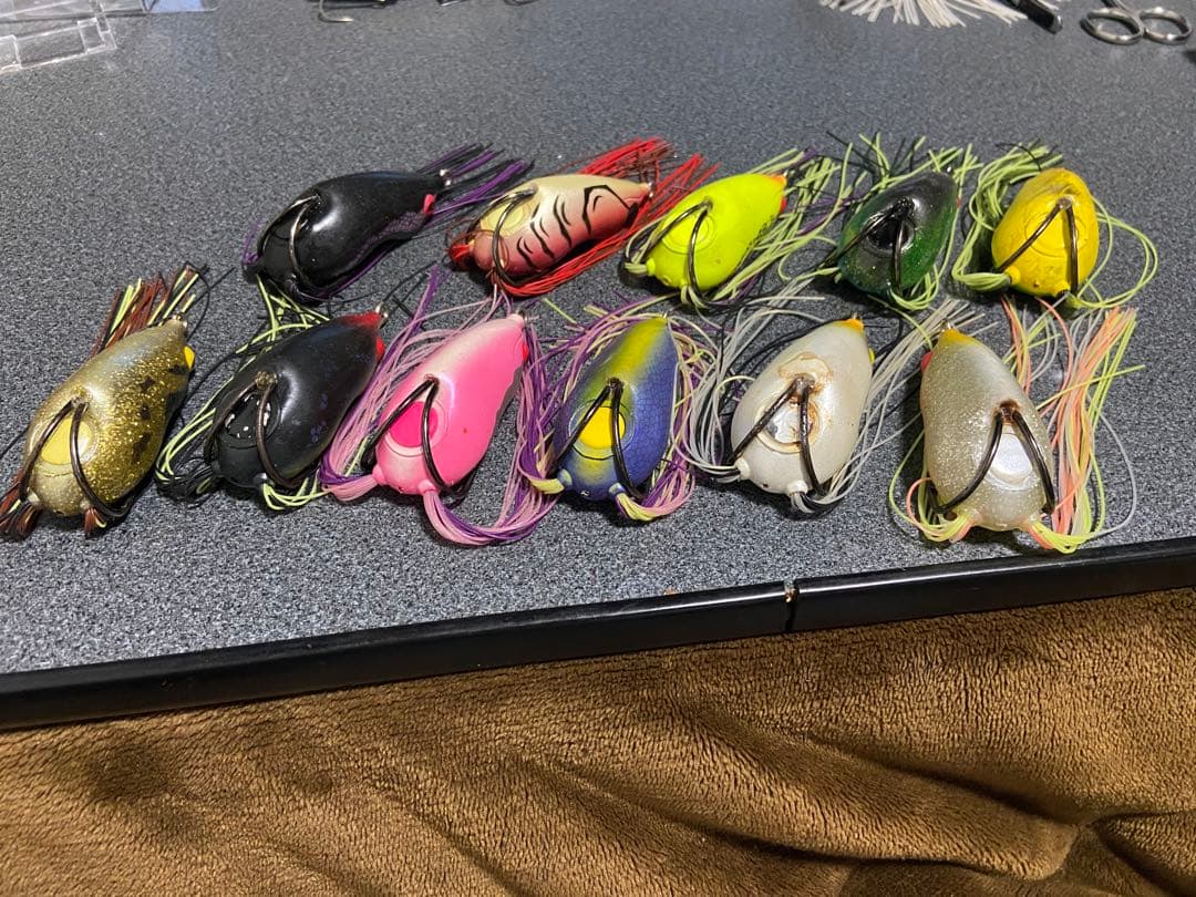 ジャッカル　アイオビー