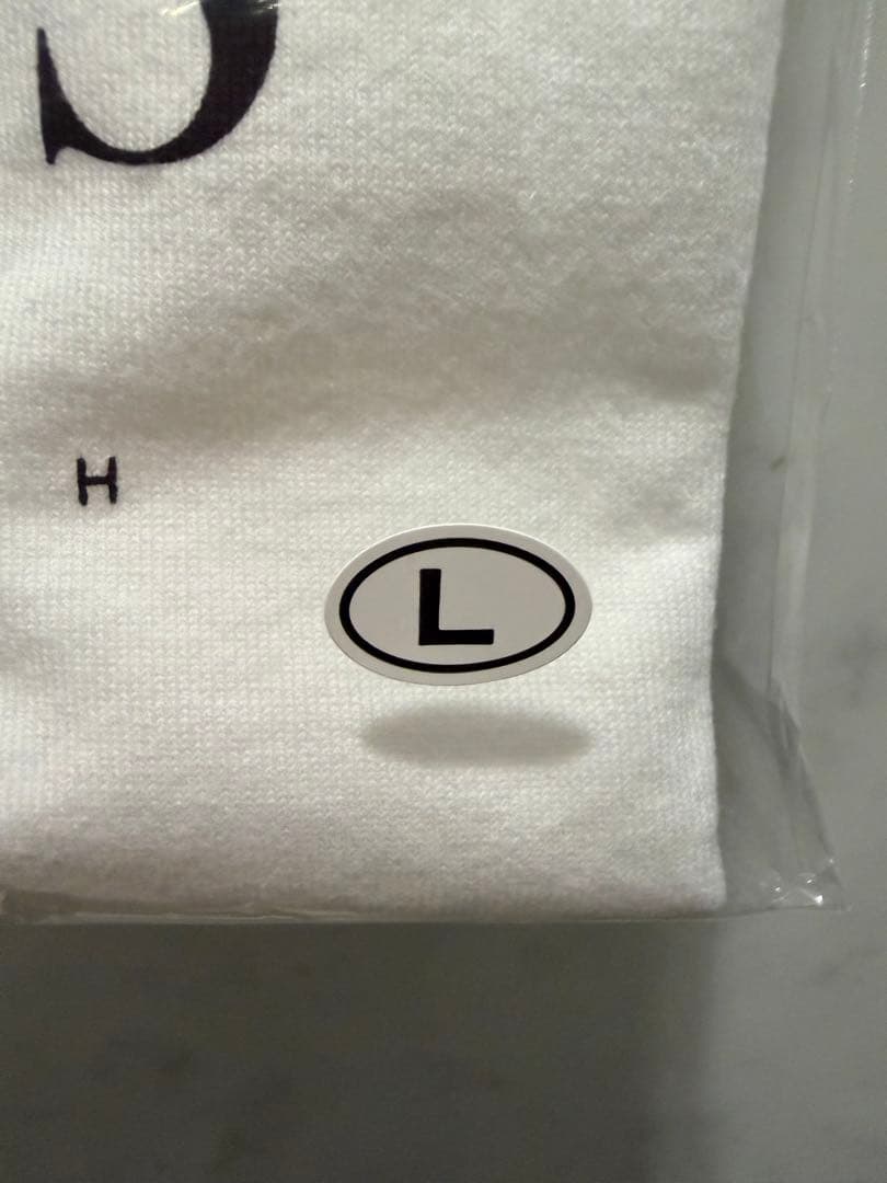 【新品】RADWIMPS x UNDERCOVER Tシャツ 2025 Lサイズ