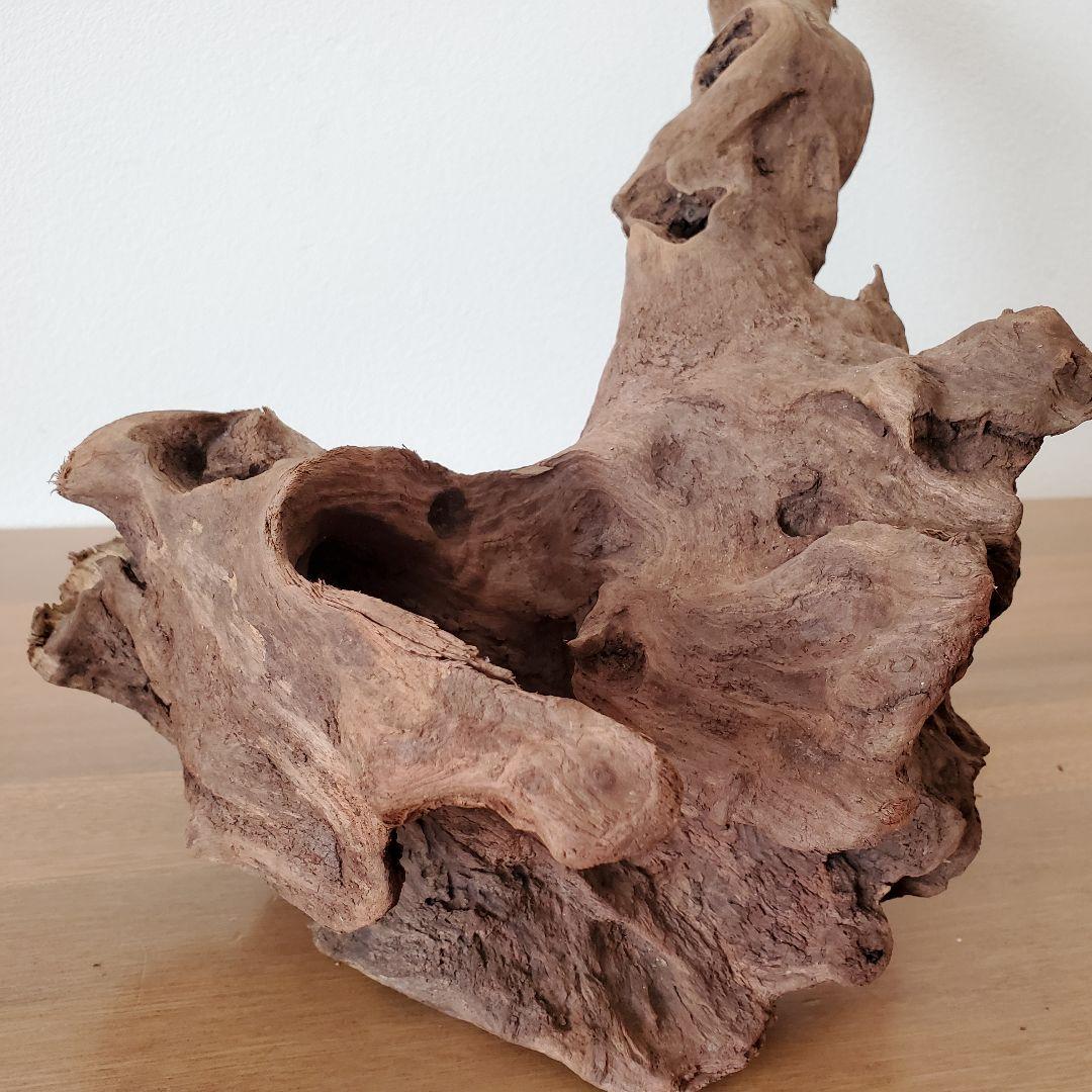 【353】流木　インテリアや爬虫類などに　止まり木　アクアリウム