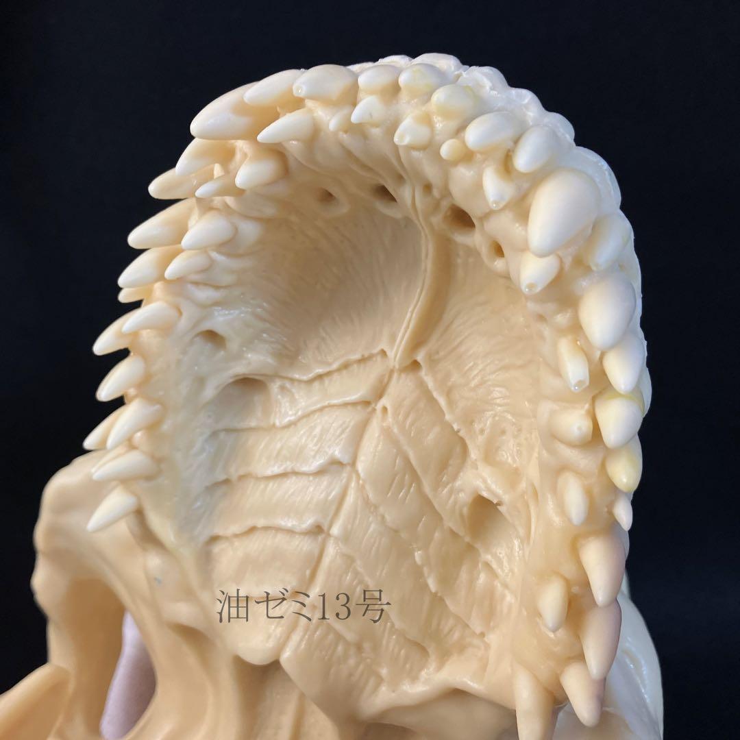 ゴジラスカル　Godzilla skull　ガレージキット　頭骨　頭蓋骨