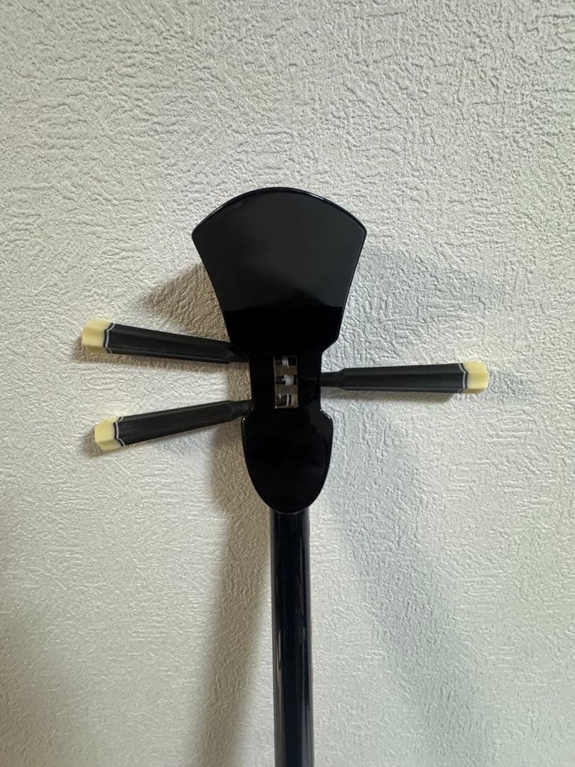 三線本体 蛇皮仕ケース付き