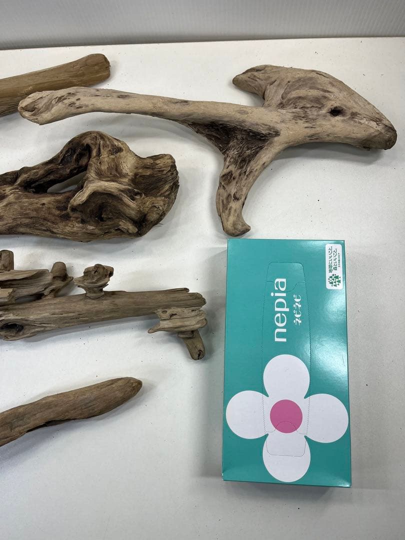 t55アク抜き済み流木セット 爬虫類シェルター 登り木 インテリア エアプランツ