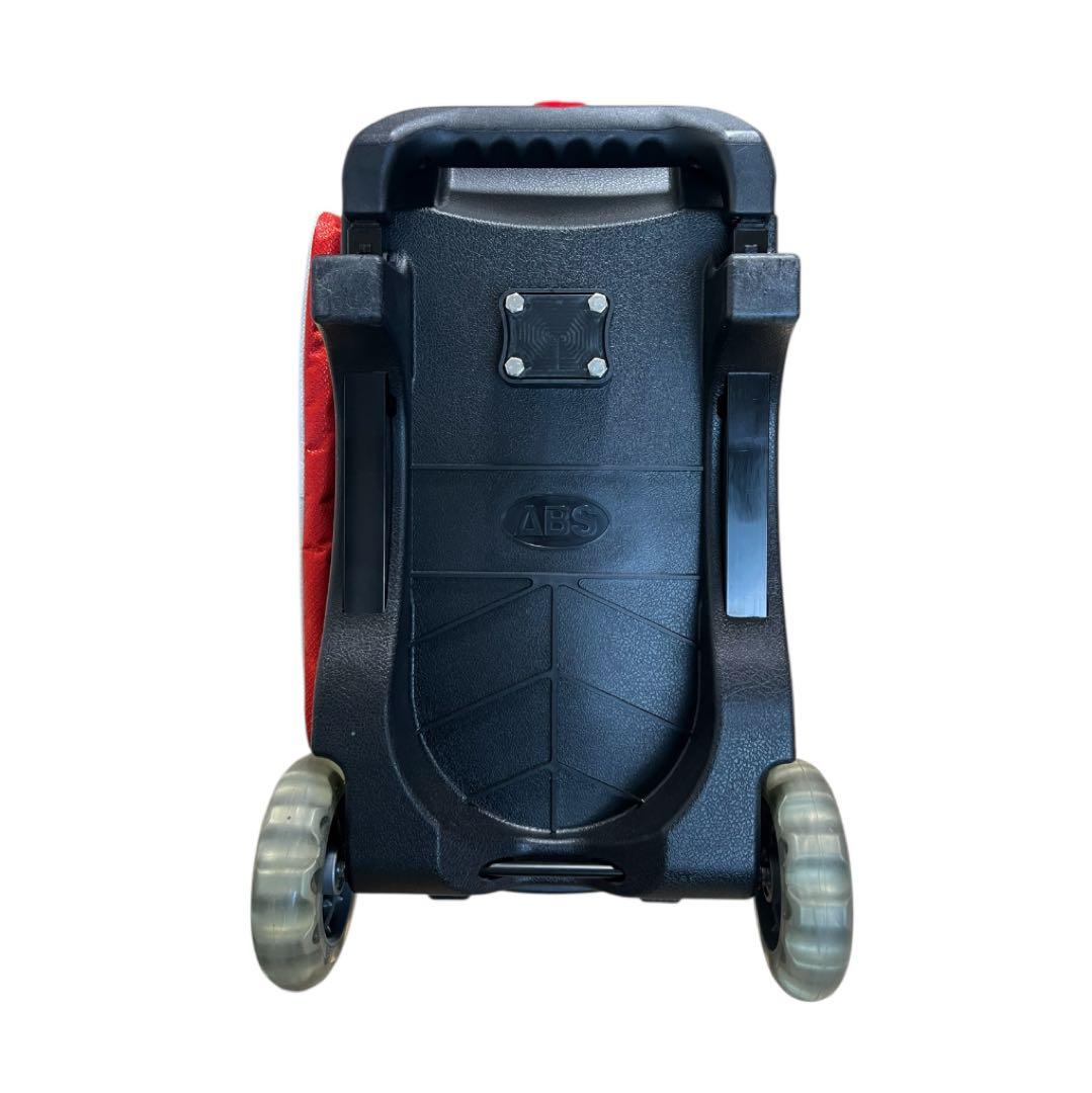 2ボールキャリーバッグ ABS Pro-am