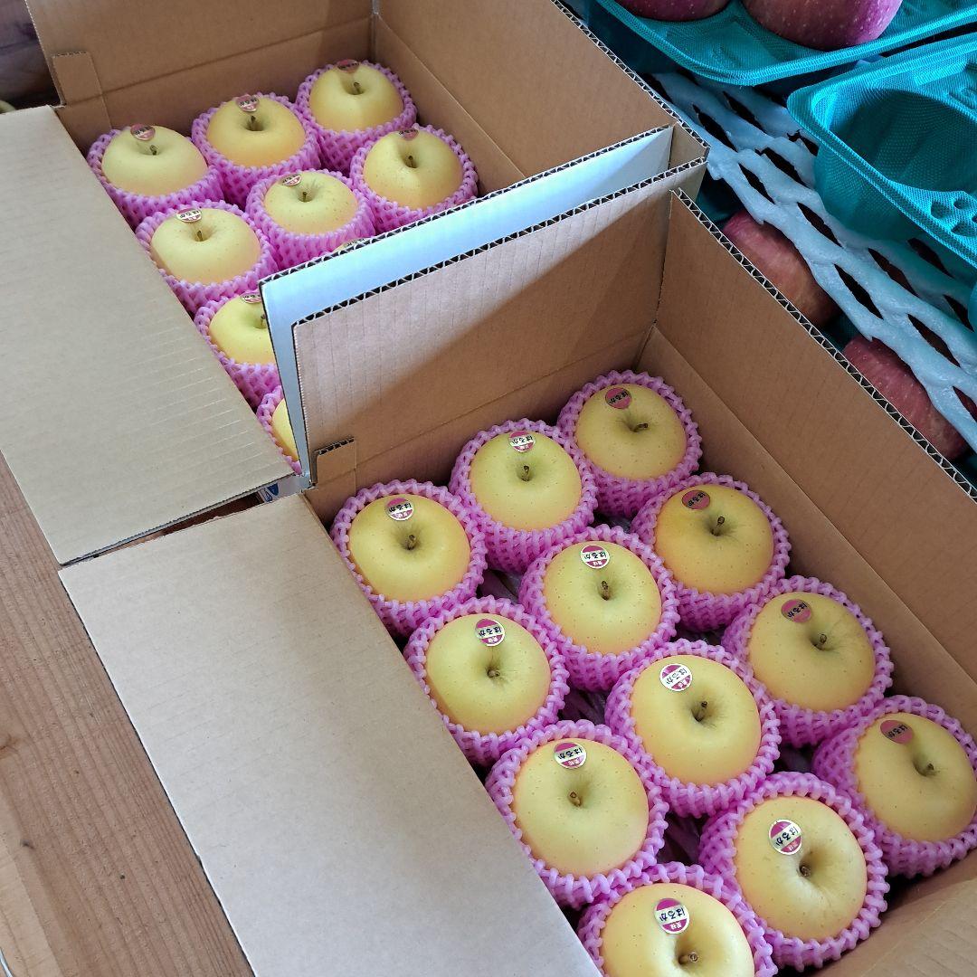 はるかりんご贈答用　小玉　 3キロ箱　2箱セット