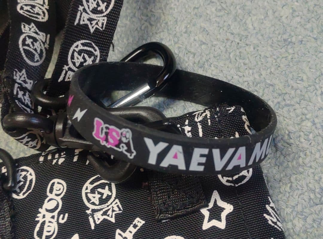 LiSA グッズ セット販売 レア品多数 チケット Tシャツ ミサンガ ラバー