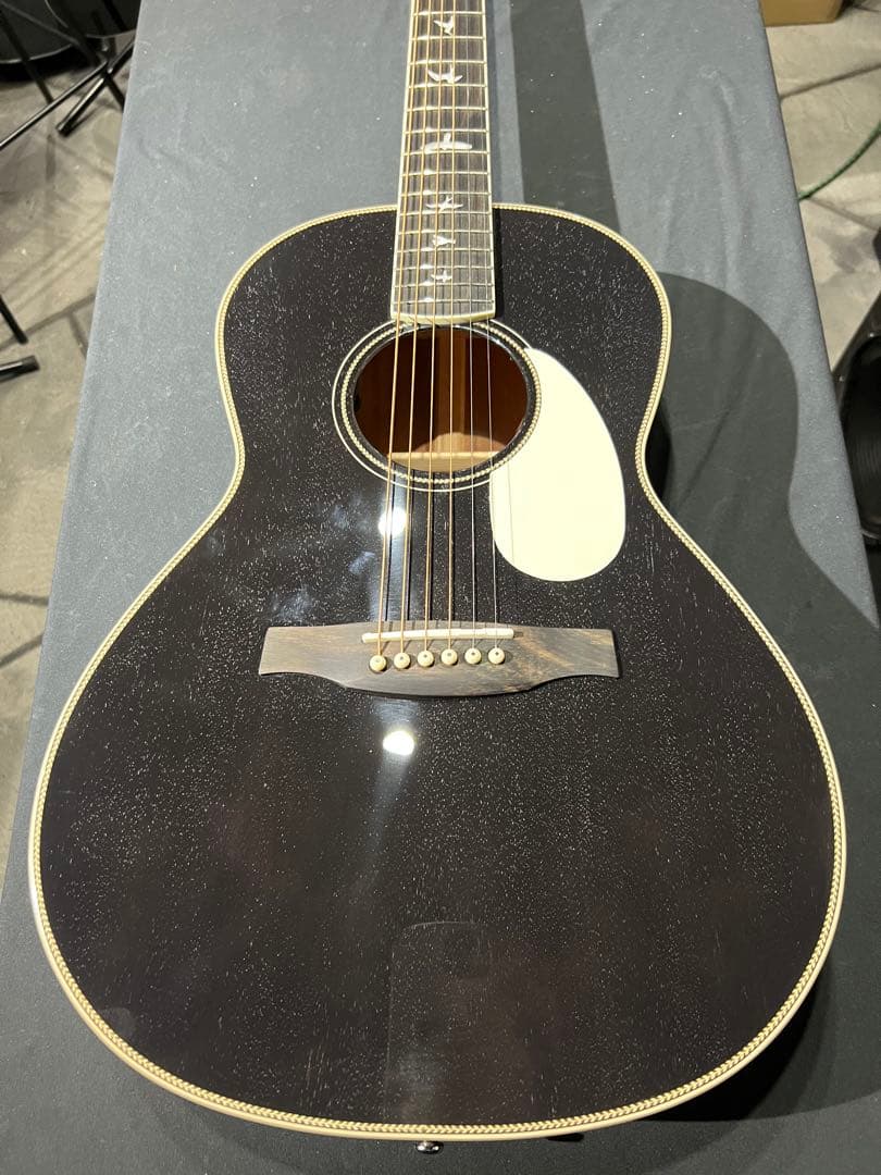 Paul reed smith P20E Doghair 美品