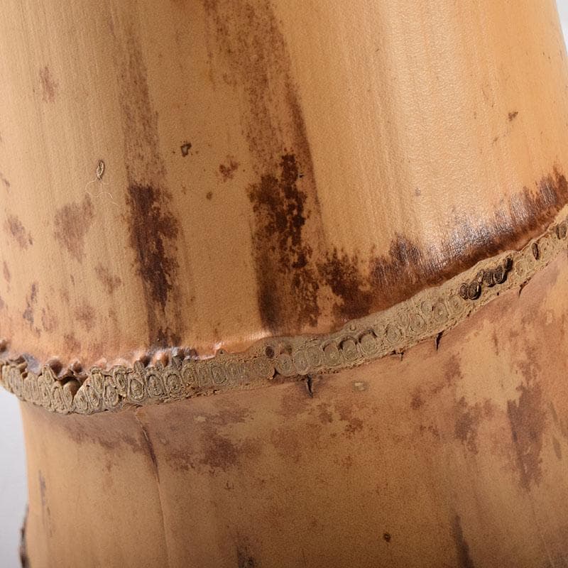 茶道具　竹器師　西川媒玄作　竹花入　銘春霞　前大徳　藤井誠堂極め箱　VR8726